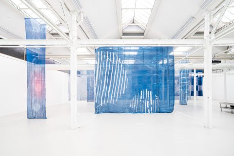 Sunfast, Protozone 20